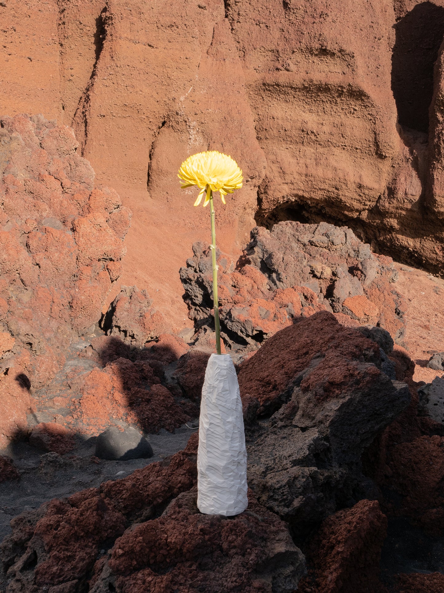 ERA vase
